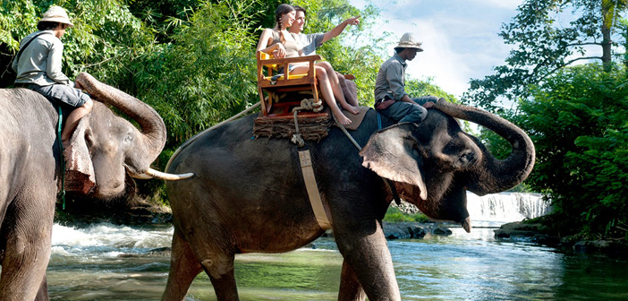 wisata naik gajah di bali